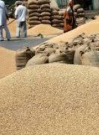 धान्य मार्केट