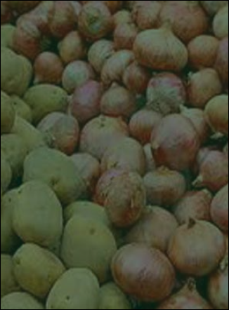 कांदा बटाटा मार्केट