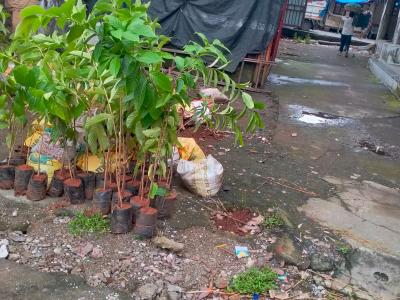 Whatsapp Image 2025 07 09 At 12.15.19 Pm 1