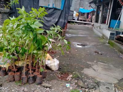 Whatsapp Image 2025 07 09 At 12.15.20 Pm 1