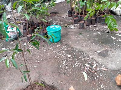 Whatsapp Image 2025 07 09 At 12.15.22 Pm 1