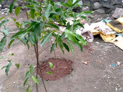 Whatsapp Image 2025 07 09 At 12.15.22 Pm 2