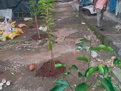 Whatsapp Image 2025 07 09 At 12.15.22 Pm