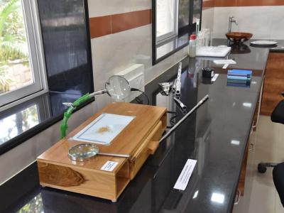 51147000 393227657918023 8132502987084922880 N