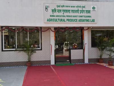 51346395 393227811251341 6710857473395261440 N