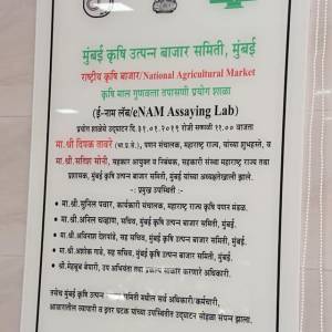 51112642_393227771251345_8374797098868015104_n_original