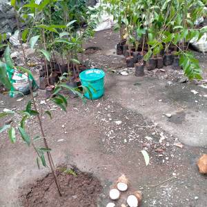 WhatsApp_Image_2025-07-09_at_12.15.22_PM_1_original