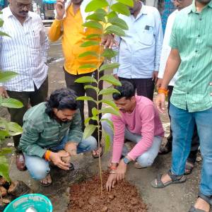 WhatsApp_Image_2025-07-09_at_12.15.23_PM_1_original