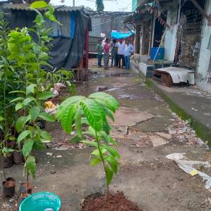 WhatsApp_Image_2025-07-09_at_12.15.23_PM_original