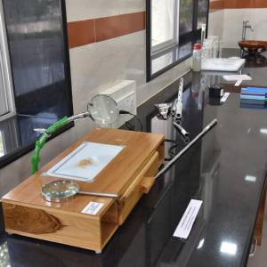 51147000_393227657918023_8132502987084922880_n_original